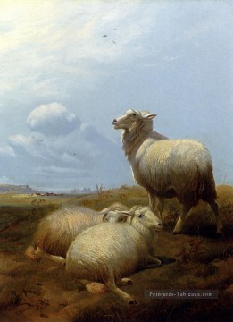  Animaux Tableaux - Moutons au pâturage animaux de ferme moutons Thomas Sidney Cooper